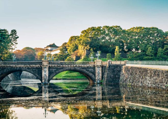 The 8 Best Airbnb Experiences in Tokyo